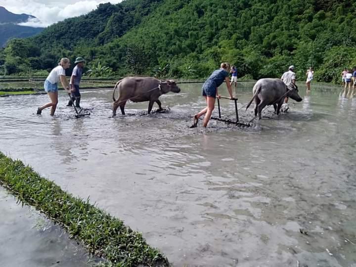 Mai Chau Xanh Bungalow Kültér fotó