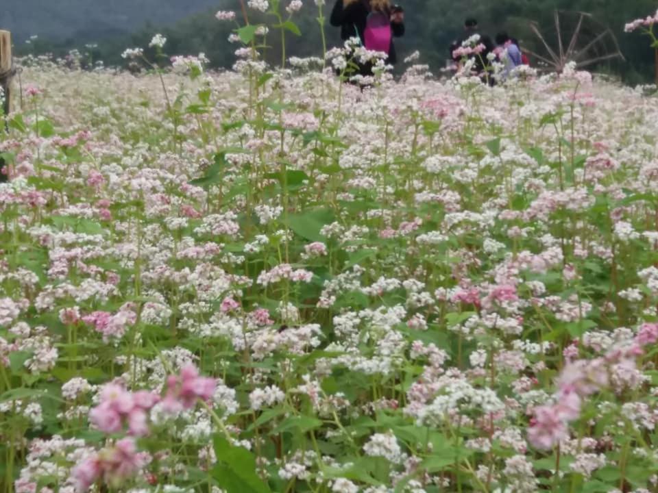 Mai Chau Xanh Bungalow Kültér fotó