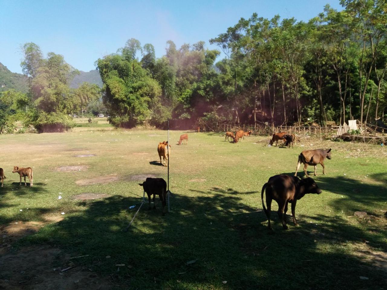 Mai Chau Xanh Bungalow Kültér fotó